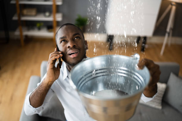 Best Basement water damage restoration  in Manhattan, NY