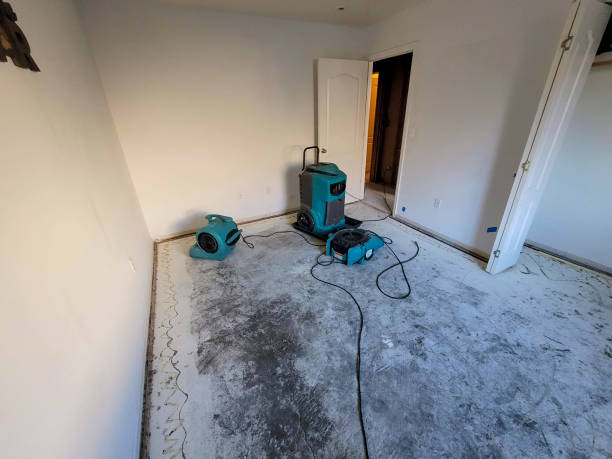 Best Ceiling water damage repair  in Manhattan, NY