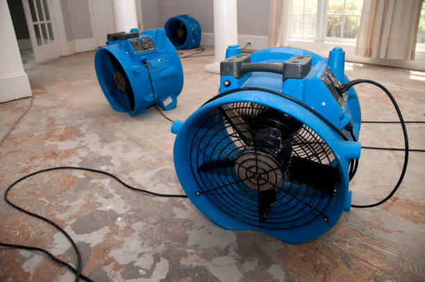 Best Carpet water damage restoration  in Manhattan, NY